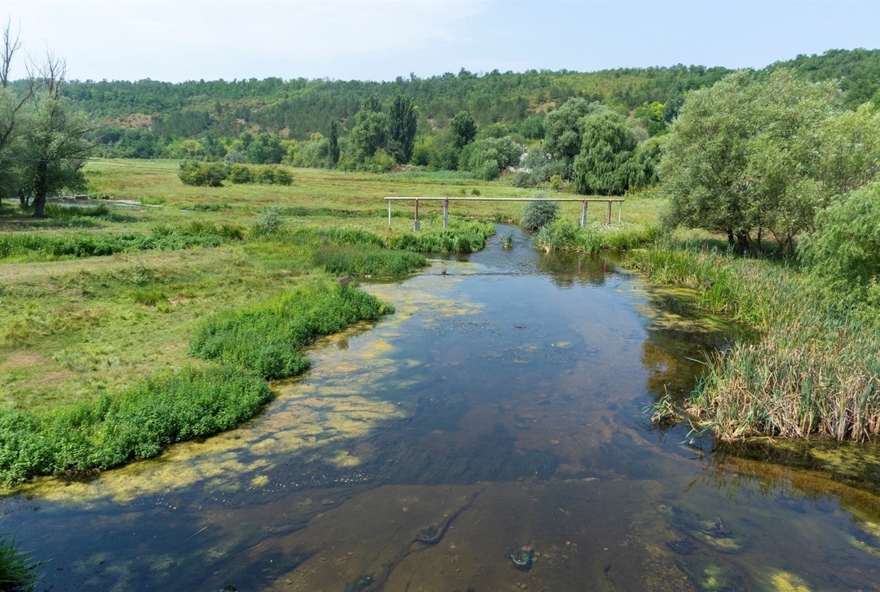 Розчищення річки Ягорлик