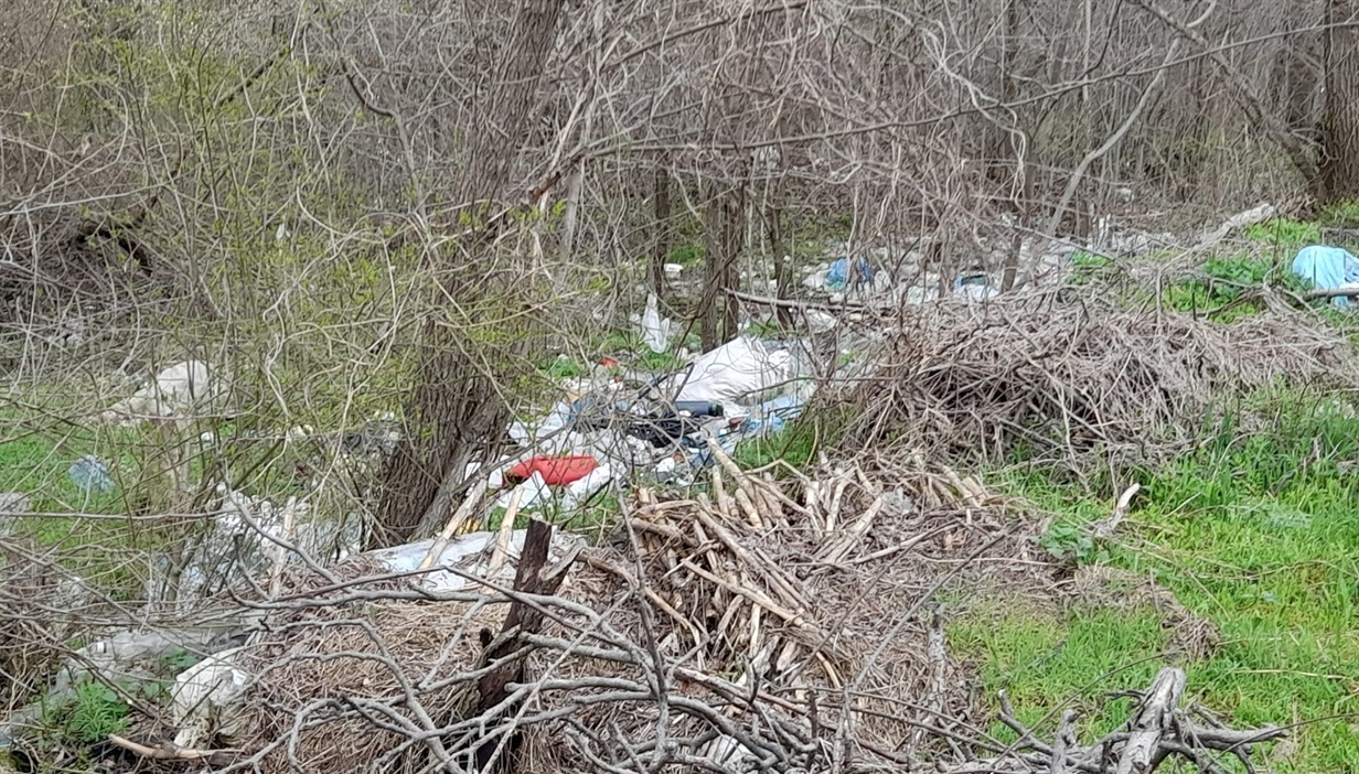 Несанкціонований смітник біля Кодими
