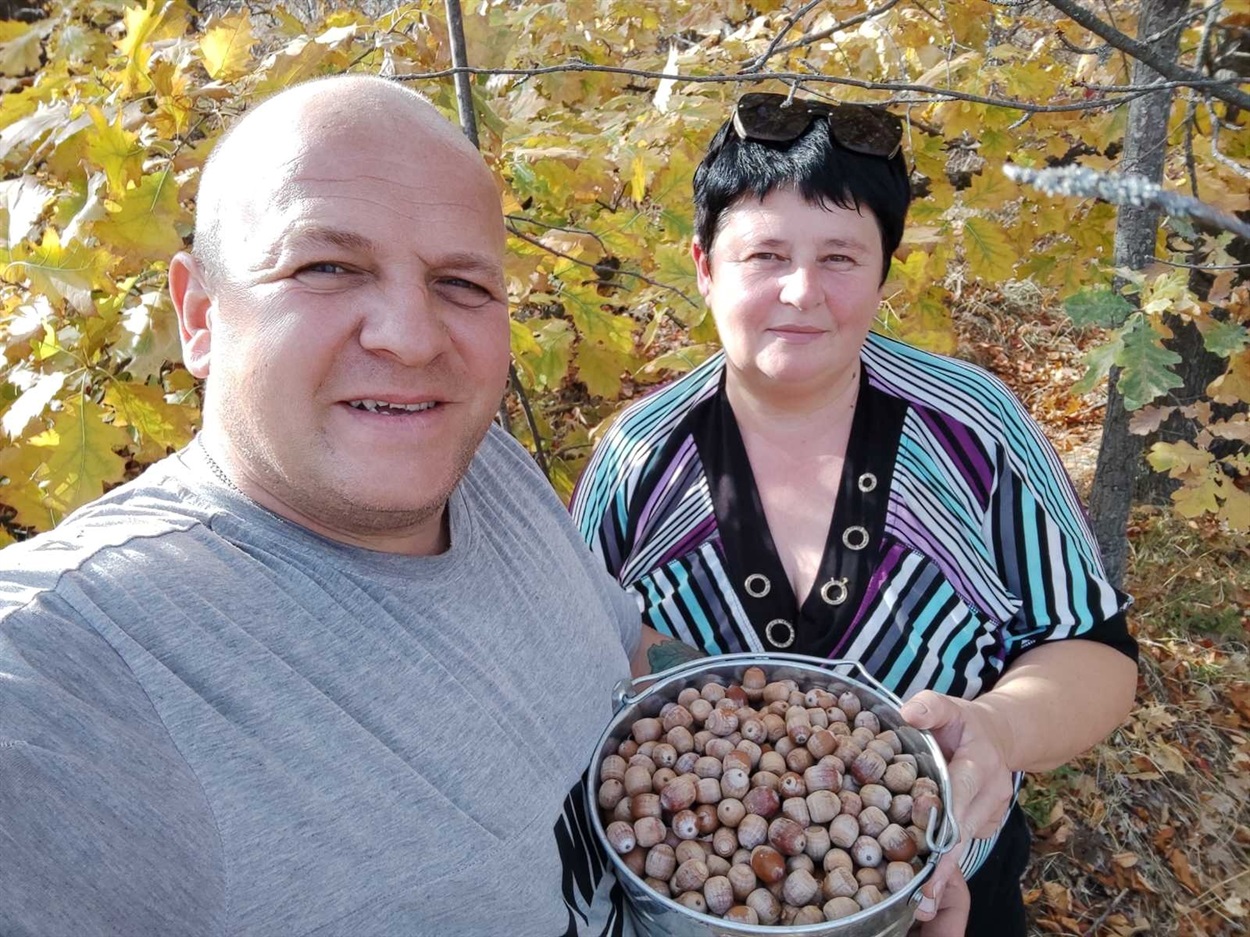 Сергій з Наталею Гриценко цьогоріч змогли зібрати ціле відерко жолудів червоного дуба