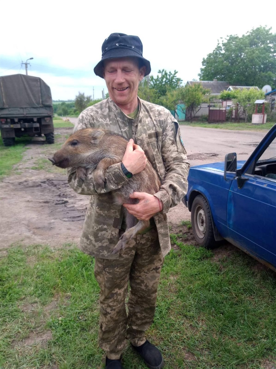Сергій Зарванський з кабанчиком Черчілем