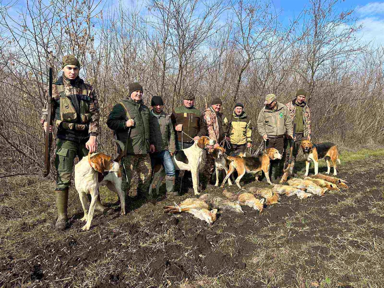 Після санітарного відстрілу лисиць