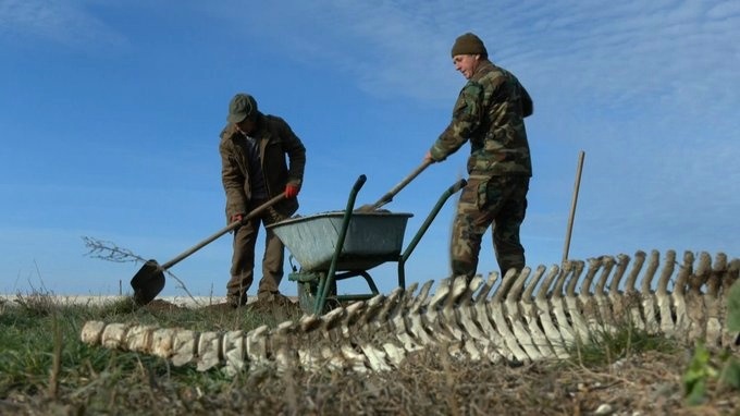 Працівники НПП Тузлівськи лиани