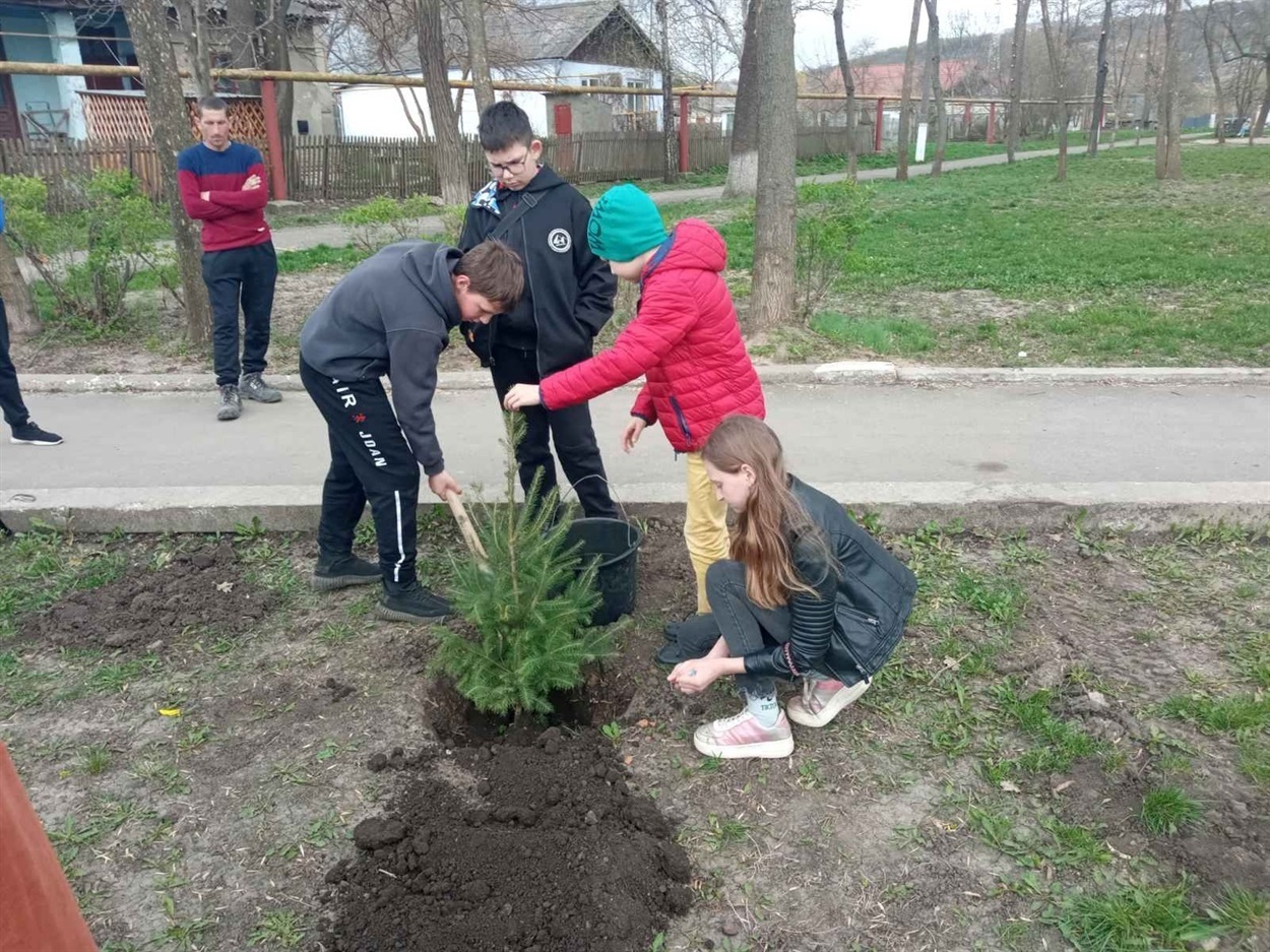 Балтські школярі висаджують хвойні дерева