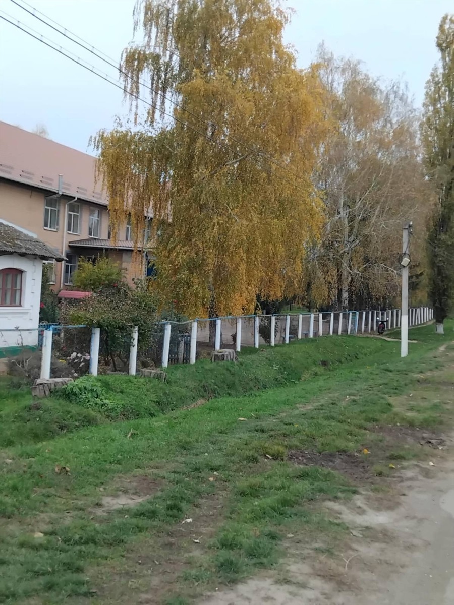 Місцева школа