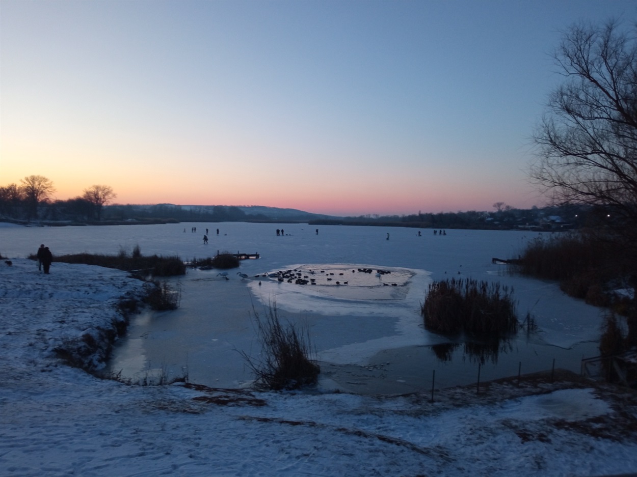 Птахи на річці Кодима в Балті