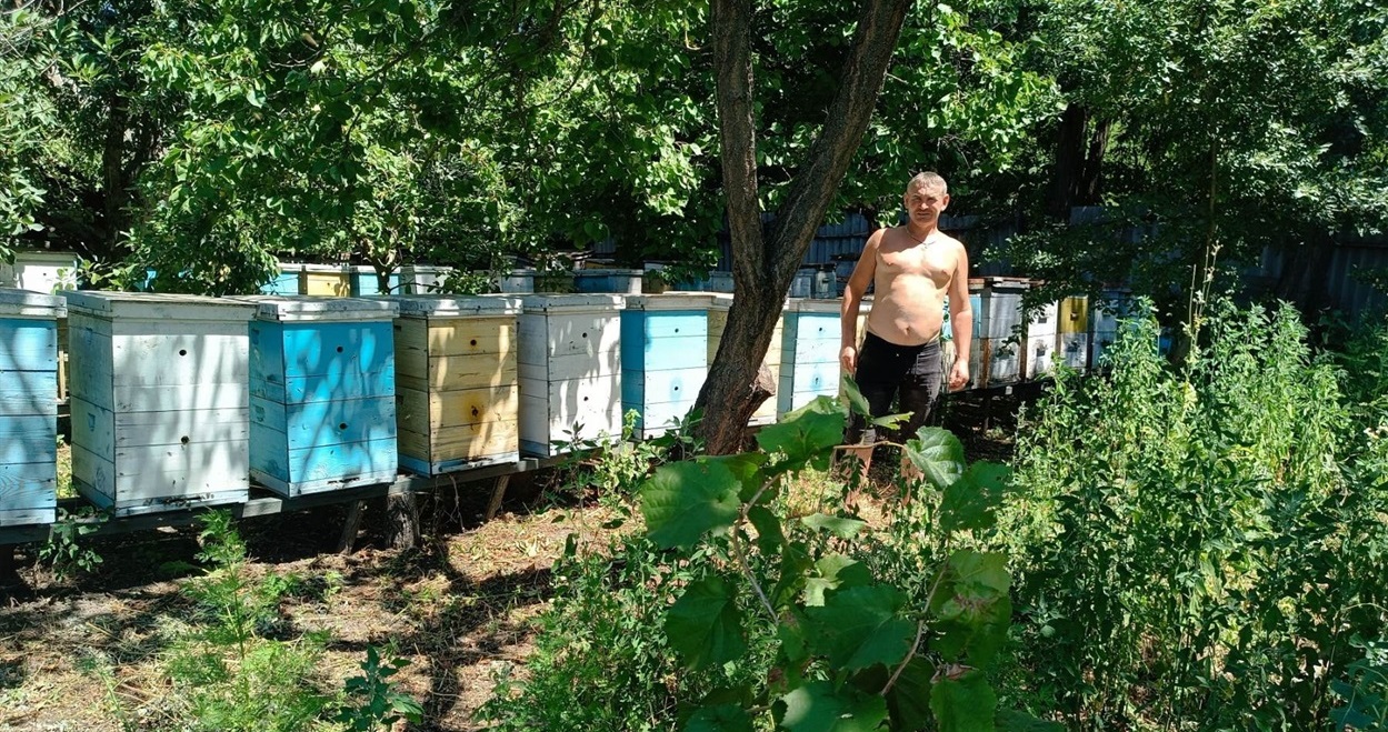 Пан Микола на власній пасіці